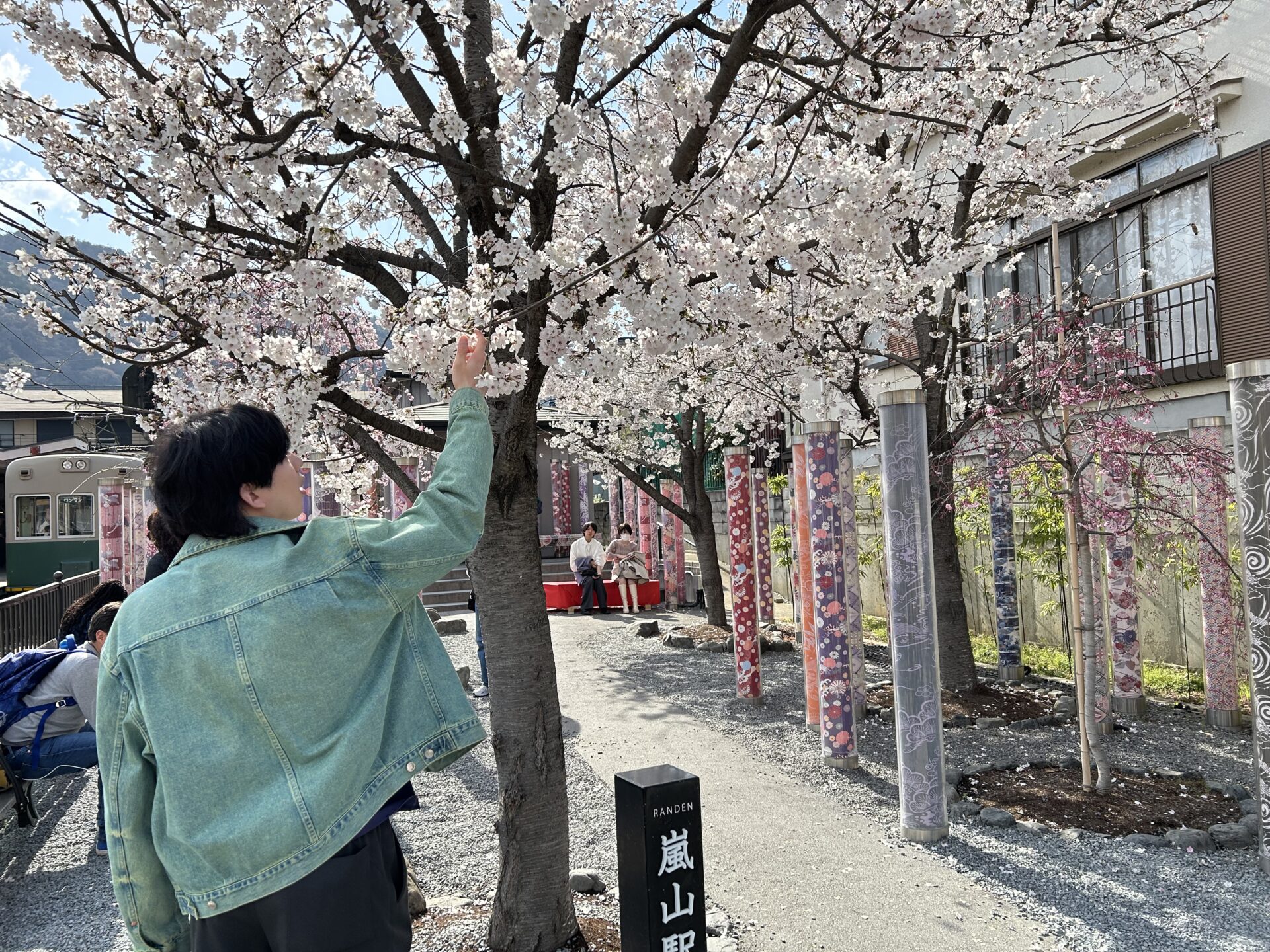 さくらさくら　前編