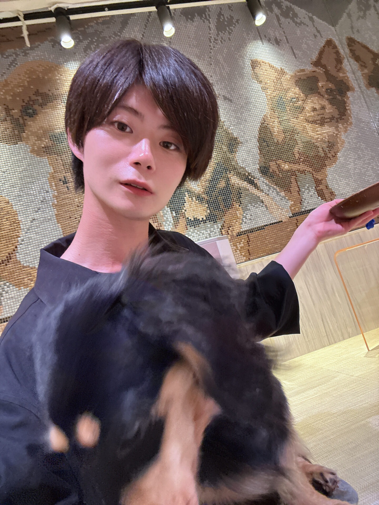 可愛い空間でした🐶✨